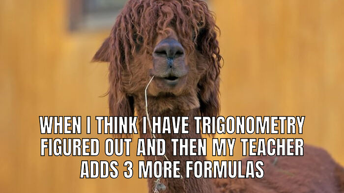 Hey Pandas, Make Your Own Meme (Closed) Hey Pandas, Make Your Own Meme (Closed)