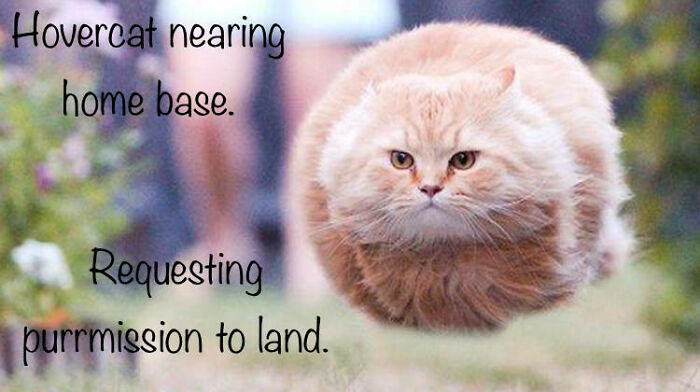 Hey Pandas, Make Your Own Meme (Closed)