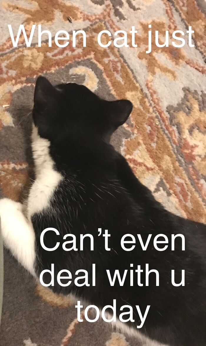 Hey Pandas, Make Your Own Meme (Closed)