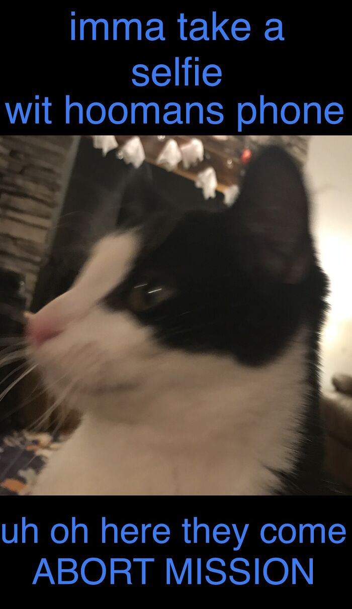 Hey Pandas, Make Your Own Meme (Closed) Hey Pandas, Make Your Own Meme (Closed)