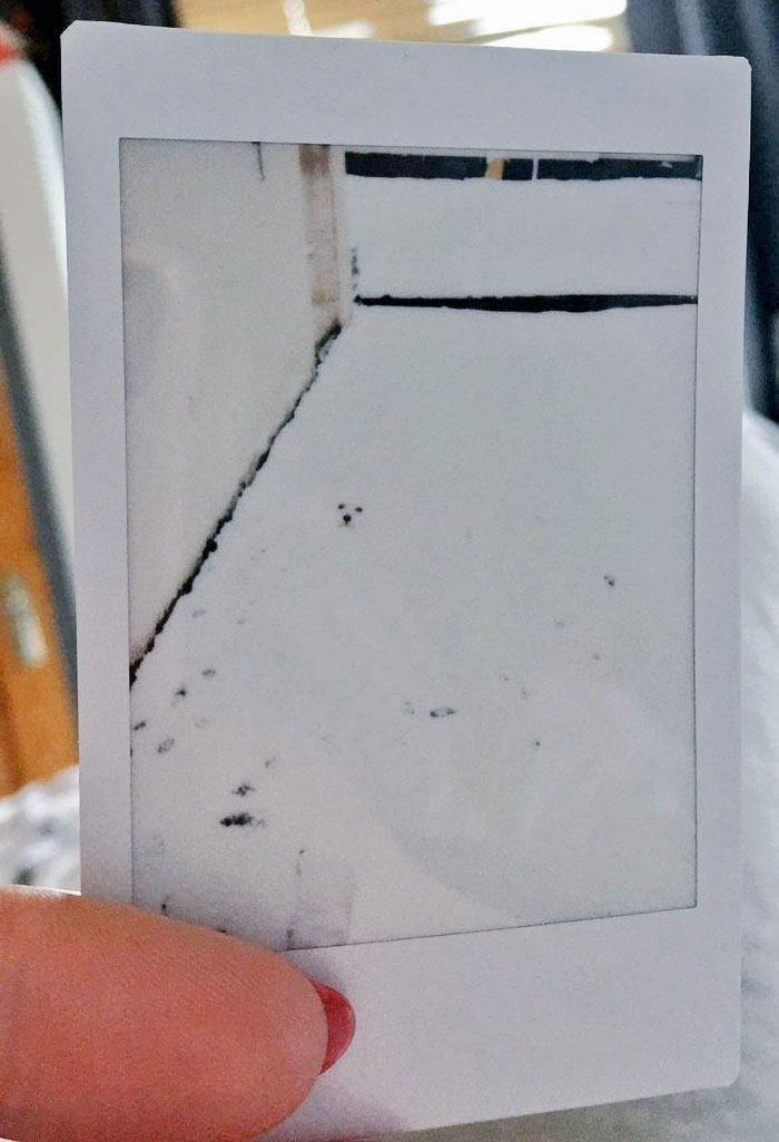 In This Online Group, People Share Accidental Camouflage And Here Are 50 Of The Best Photos In This Online Group, People Share Accidental Camouflage And Here Are 50 Of The Best Photos