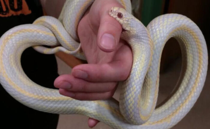 Hey Pandas, Post The Cutest Picture Of Your Pet (Closed) Hey Pandas, Post The Cutest Picture Of Your Pet (Closed)