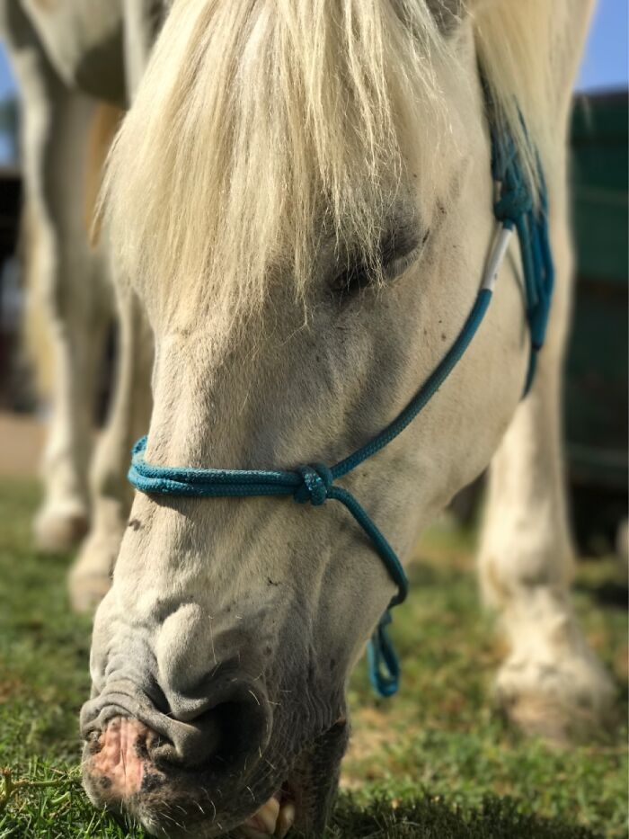 Hey Pandas, Post The Cutest Picture Of Your Pet (Closed) Hey Pandas, Post The Cutest Picture Of Your Pet (Closed)