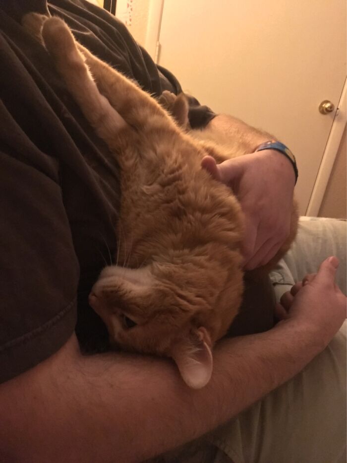 Hey Pandas, Post The Cutest Picture Of Your Pet (Closed) Hey Pandas, Post The Cutest Picture Of Your Pet (Closed)