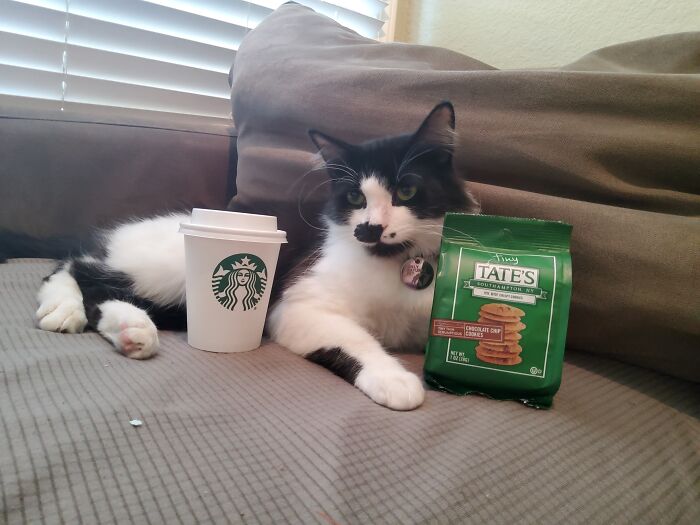 Hey Pandas, What’s Your Rescue Pet’s Name And Picture? Hey Pandas, What’s Your Rescue Pet’s Name And Picture?