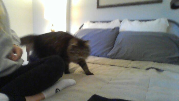 Hey Pandas, What’s Your Rescue Pet’s Name And Picture? Hey Pandas, What’s Your Rescue Pet’s Name And Picture?