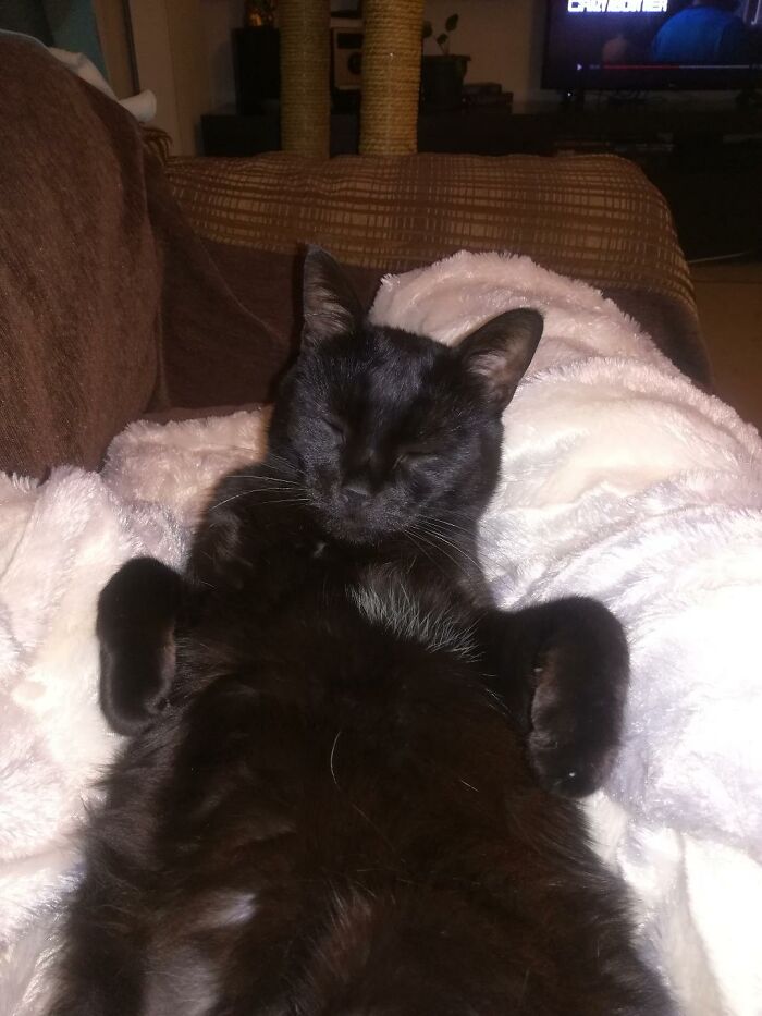 Hey Pandas, What’s Your Rescue Pet’s Name And Picture?