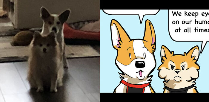 Hey Pandas, What’s Your Rescue Pet’s Name And Picture? Hey Pandas, What’s Your Rescue Pet’s Name And Picture?