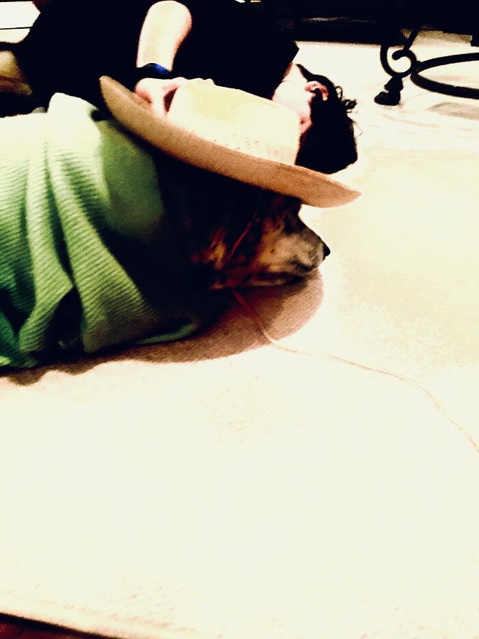 Hey Pandas, What’s Your Rescue Pet’s Name And Picture? Hey Pandas, What’s Your Rescue Pet’s Name And Picture?