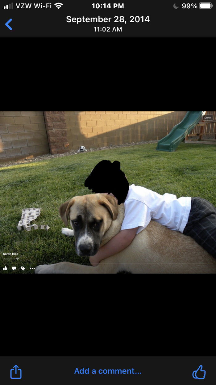 Hey Pandas, What’s Your Rescue Pet’s Name And Picture? Hey Pandas, What’s Your Rescue Pet’s Name And Picture?