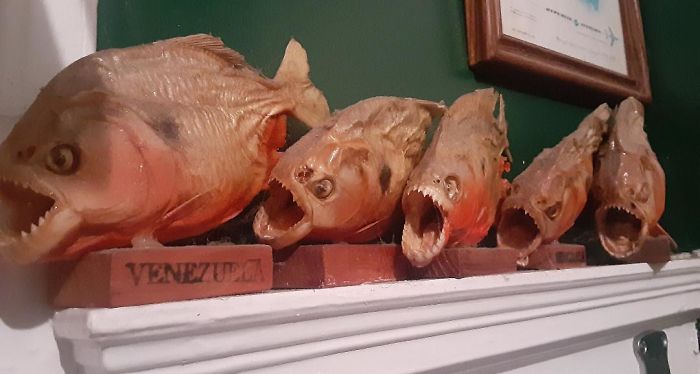 Hey Pandas, What Is The Weirdest Thing In Your House? (Closed)