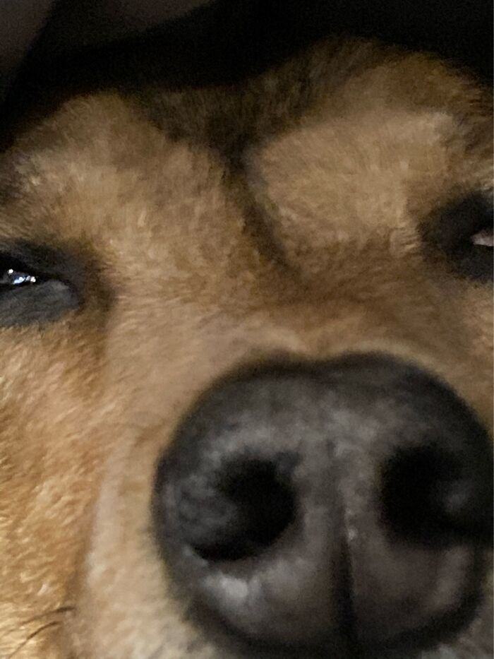 Hey Pandas, What Is The Latest Picture On Your Camera Roll? (Closed) Hey Pandas, What Is The Latest Picture On Your Camera Roll? (Closed)