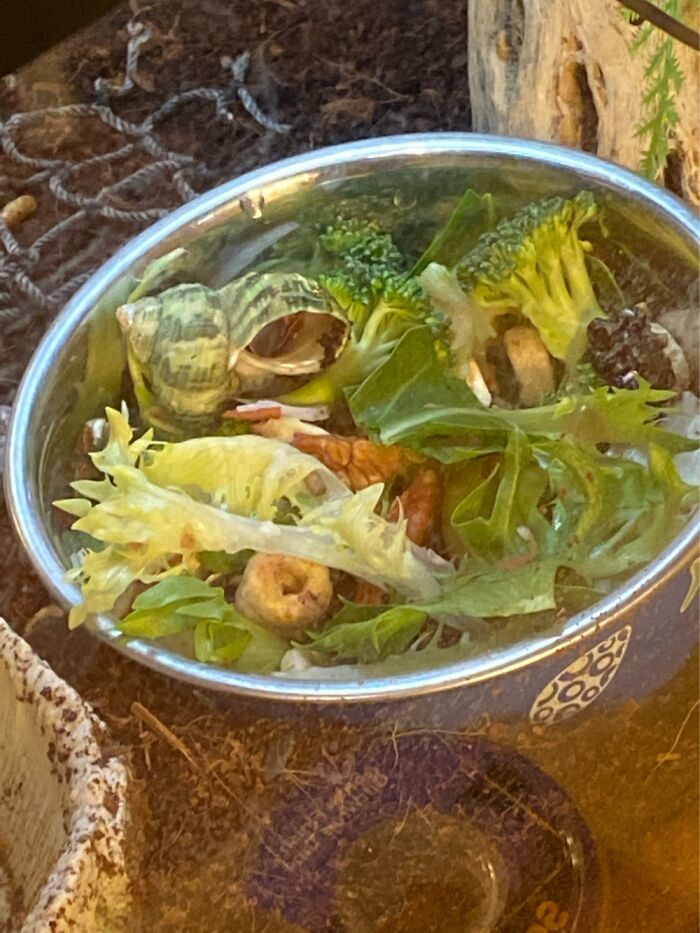 Hey Pandas, What Is The Latest Picture On Your Camera Roll? (Closed) Hey Pandas, What Is The Latest Picture On Your Camera Roll? (Closed)