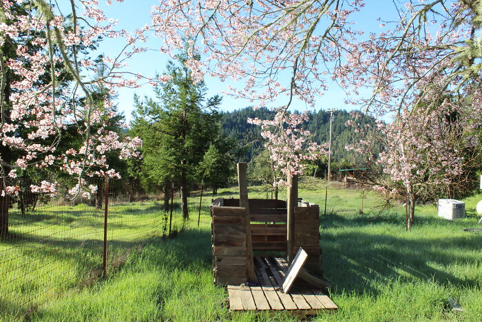 Hey Pandas, What Is The Latest Picture On Your Camera Roll? (Closed) Hey Pandas, What Is The Latest Picture On Your Camera Roll? (Closed)