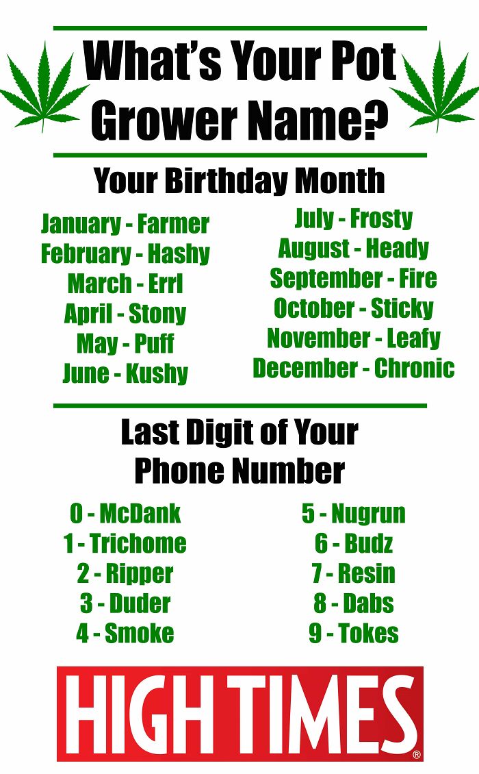 Hey Pandas, Post Some Funny Name Generators (Closed) Hey Pandas, Post Some Funny Name Generators (Closed)