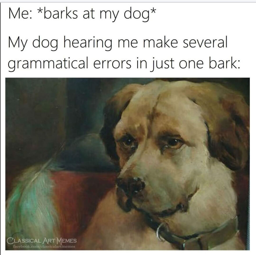 Hey Pandas, Post The Funniest Animal Meme (Closed)