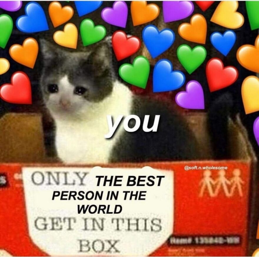 Hey Pandas, Post The Funniest Animal Meme (Closed)