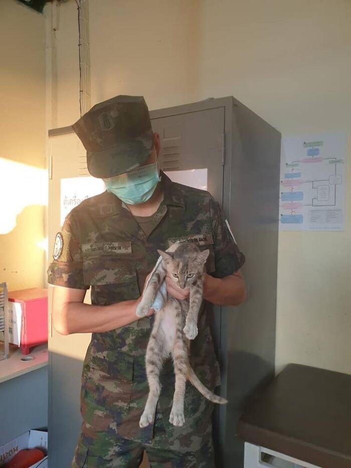 Thai Navy Officer Jumps Into Water And Swims To Rescue These Four Cats From A Rapidly Sinking Ship Thai Navy Officer Jumps Into Water And Swims To Rescue These Four Cats From A Rapidly Sinking Ship