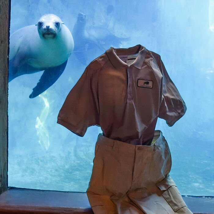 People Are Freezing Their Pants And Other Clothes And It Looks Like The Coolest Science Experiment (40 Pics) People Are Freezing Their Pants And Other Clothes And It Looks Like The Coolest Science Experiment (40 Pics)