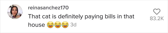 TikTok Of A Cat Having A Spa Day With Owner Goes Viral And Is Watched Over 60 Million Times TikTok Of A Cat Having A Spa Day With Owner Goes Viral And Is Watched Over 60 Million Times