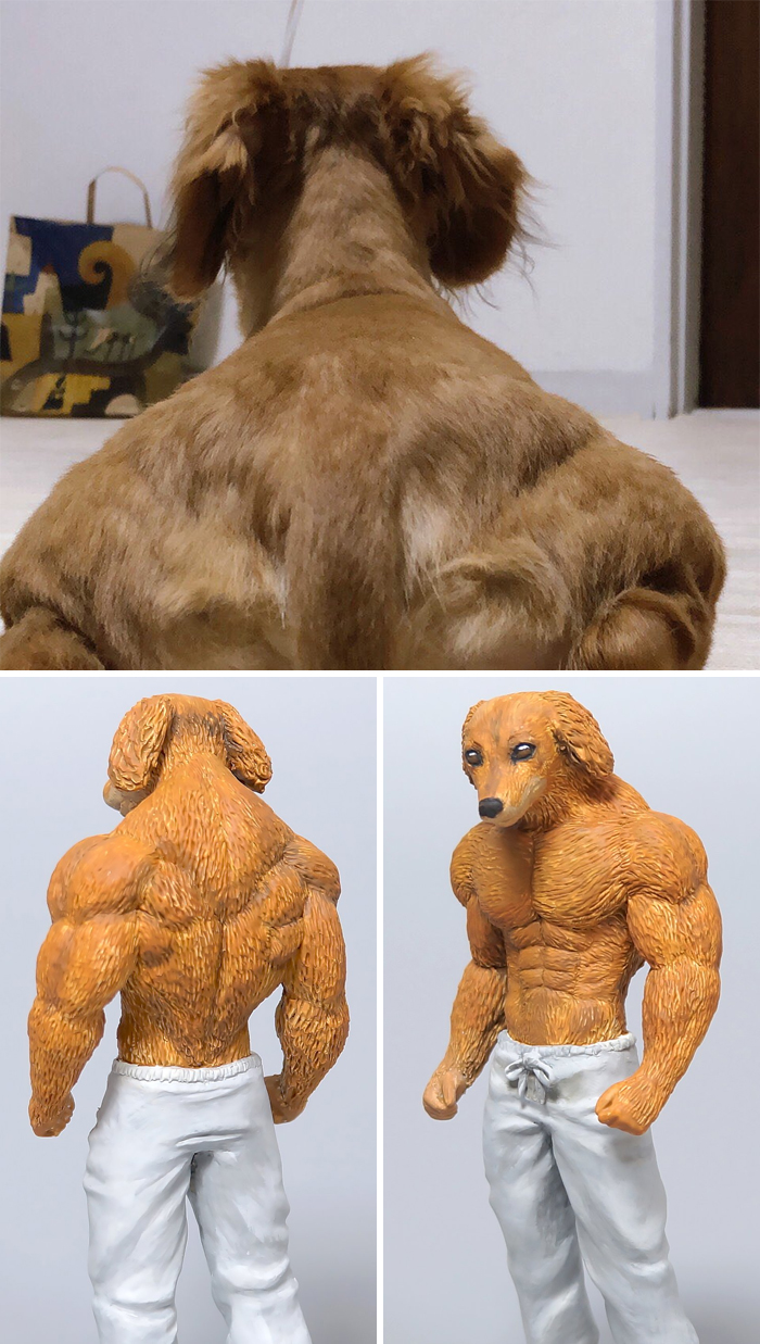 Japanese Artist Turns Hilarious Animal Moments Into Sculptures, And The Result Makes Them Even Funnier (30 New Pics) Japanese Artist Turns Hilarious Animal Moments Into Sculptures, And The Result Makes Them Even Funnier (30 New Pics)