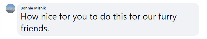 Dad And His 10-Year-Old Son Use Their Time In Quarantine To Build A ‘Stick Library’ For Local Dogs Dad And His 10-Year-Old Son Use Their Time In Quarantine To Build A ‘Stick Library’ For Local Dogs