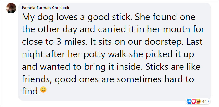 Dad And His 10-Year-Old Son Use Their Time In Quarantine To Build A &#8216;Stick Library&#8217; For Local Dogs