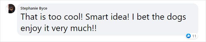 Dad And His 10-Year-Old Son Use Their Time In Quarantine To Build A &#8216;Stick Library&#8217; For Local Dogs