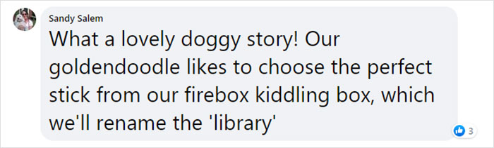 Dad And His 10-Year-Old Son Use Their Time In Quarantine To Build A &#8216;Stick Library&#8217; For Local Dogs