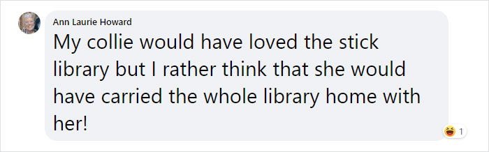 Dad And His 10-Year-Old Son Use Their Time In Quarantine To Build A &#8216;Stick Library&#8217; For Local Dogs