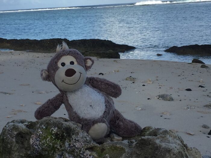 Hello, Pandas, Post A Photo Of A Funny Toy That Lifts Your Mood (Closed) Hello, Pandas, Post A Photo Of A Funny Toy That Lifts Your Mood (Closed)