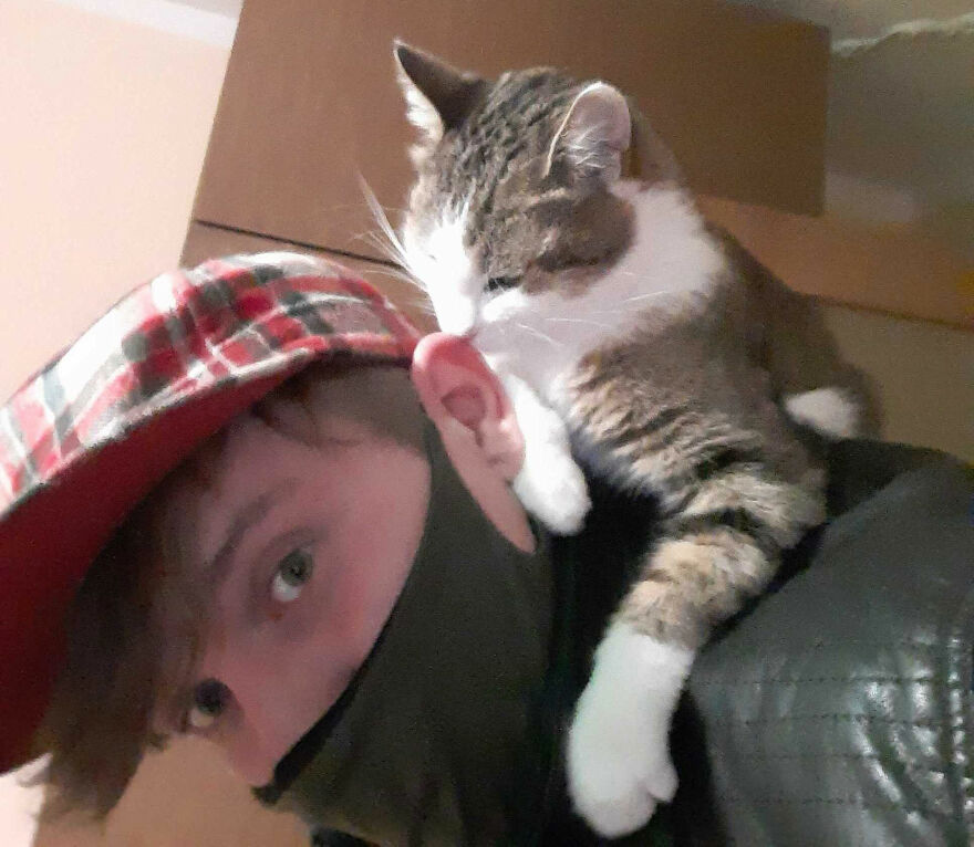 Hey Pandas, Show Me The Dumbest Thing Your Pet Has Done (Closed) Hey Pandas, Show Me The Dumbest Thing Your Pet Has Done (Closed)