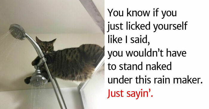 Hey Pandas, Put Down The Funniest Memes Ever (Closed) Hey Pandas, Put Down The Funniest Memes Ever (Closed)