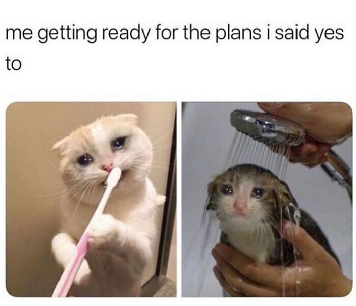 Hey Pandas, Put Down The Funniest Memes Ever (Closed) Hey Pandas, Put Down The Funniest Memes Ever (Closed)