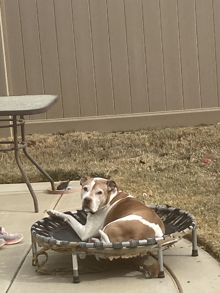 Hey Pandas, Can I Have Some Photos Of Your Animals? (Closed) Hey Pandas, Can I Have Some Photos Of Your Animals? (Closed)