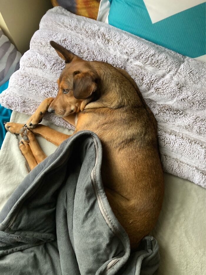 Hey Pandas, Can I Have Some Photos Of Your Animals? (Closed) Hey Pandas, Can I Have Some Photos Of Your Animals? (Closed)