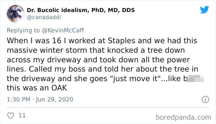 People Are Revealing The Absolute Worst Things Their Bosses Said To Them (36 Tweets) People Are Revealing The Absolute Worst Things Their Bosses Said To Them (36 Tweets)