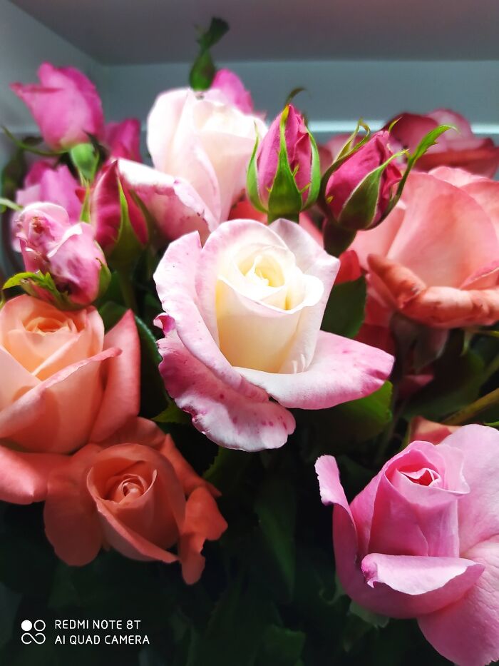 Hey Pandas, Post A Picture Of What Makes You Really Happy! Hey Pandas, Post A Picture Of What Makes You Really Happy!