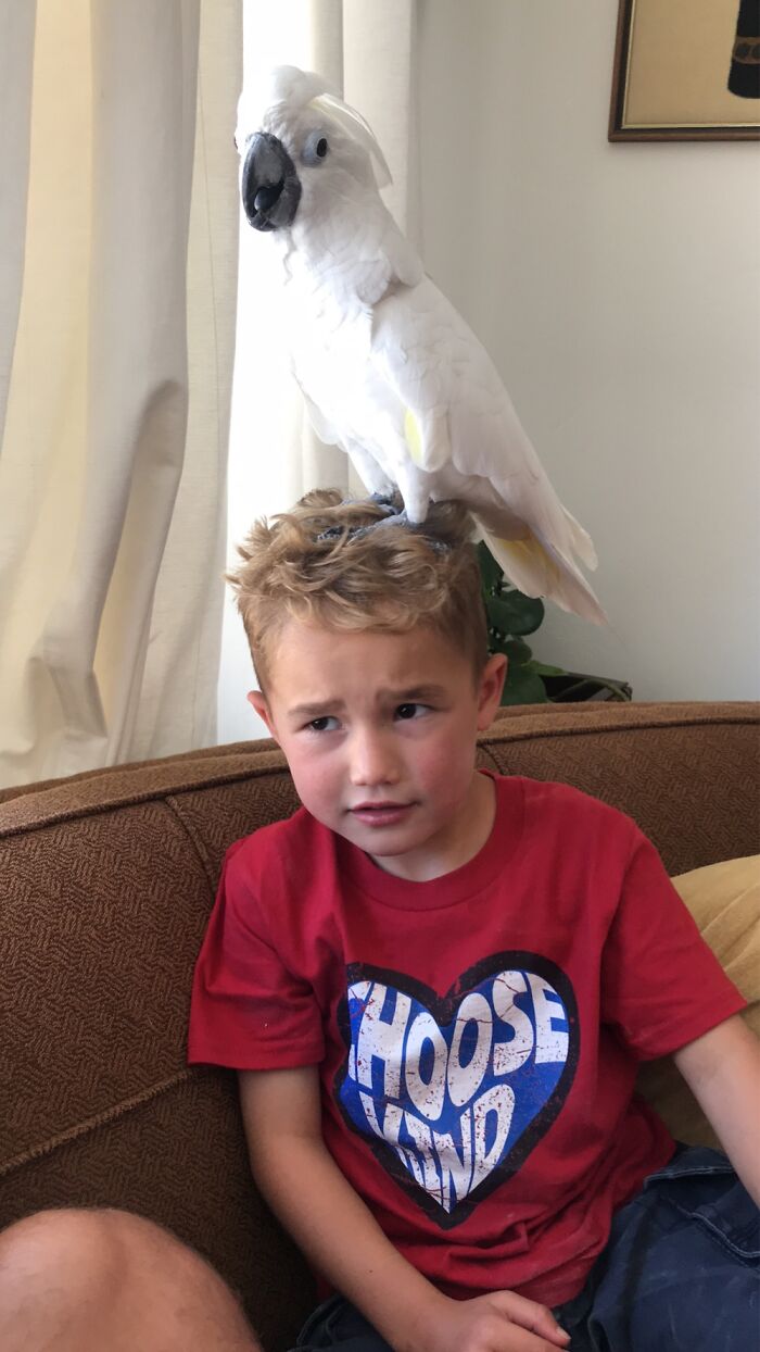 Hey Pandas, Post The Funniest Photo Of Your Pet (Closed) Hey Pandas, Post The Funniest Photo Of Your Pet (Closed)