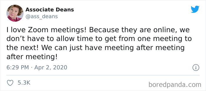50 Funny Tweets From People Who Are So Done With Zoom Calls