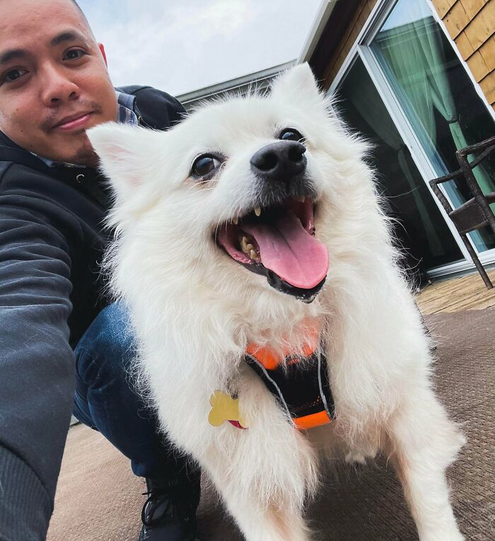 50 Most Wholesome Rescue Pet Photos Of The Month (February Edition) 50 Most Wholesome Rescue Pet Photos Of The Month (February Edition)