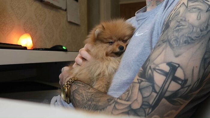 50 Most Wholesome Rescue Pet Photos Of The Month (February Edition) 50 Most Wholesome Rescue Pet Photos Of The Month (February Edition)