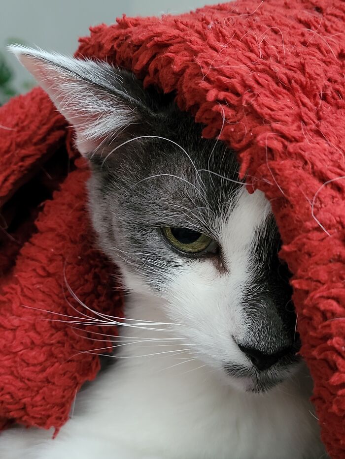 Hey Pandas, Share The Prettiest Photo In Your Camera Roll (Closed) Hey Pandas, Share The Prettiest Photo In Your Camera Roll (Closed)