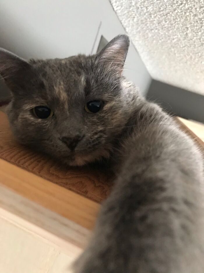 Hey Pandas, Share The Prettiest Photo In Your Camera Roll (Closed) Hey Pandas, Share The Prettiest Photo In Your Camera Roll (Closed)