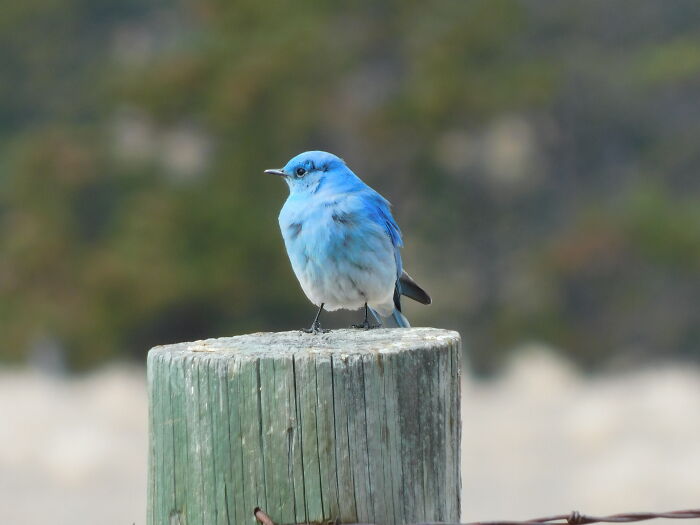 Hey Pandas, Share The Prettiest Photo In Your Camera Roll (Closed) Hey Pandas, Share The Prettiest Photo In Your Camera Roll (Closed)