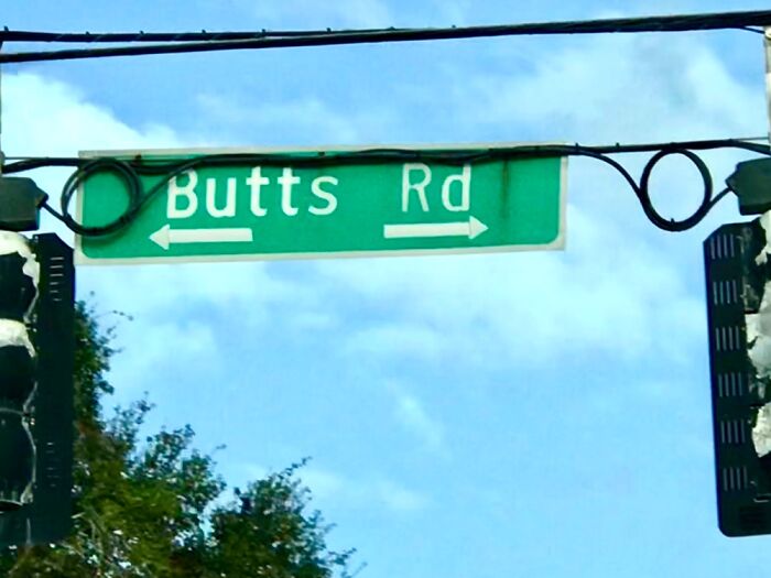 Hey Pandas, Share The Prettiest Photo In Your Camera Roll (Closed) Hey Pandas, Share The Prettiest Photo In Your Camera Roll (Closed)