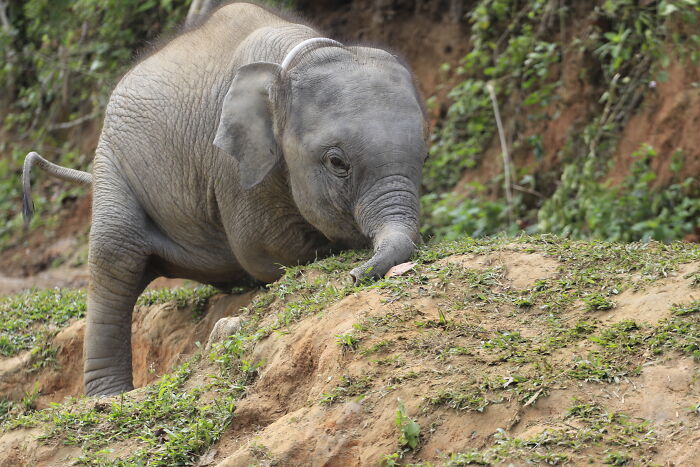 Hey Pandas, Share The Prettiest Photo In Your Camera Roll (Closed) Hey Pandas, Share The Prettiest Photo In Your Camera Roll (Closed)