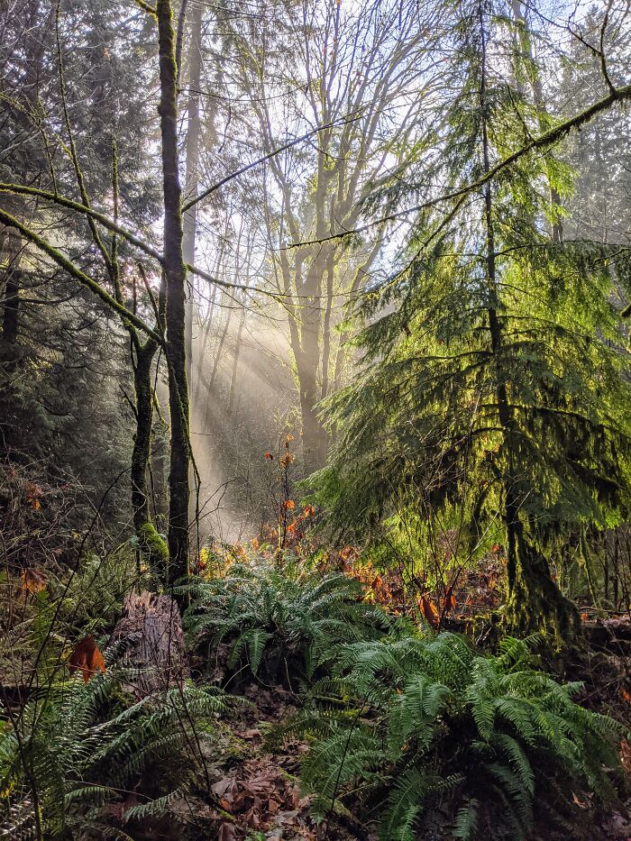 Hey Pandas, Share The Prettiest Photo In Your Camera Roll (Closed) Hey Pandas, Share The Prettiest Photo In Your Camera Roll (Closed)