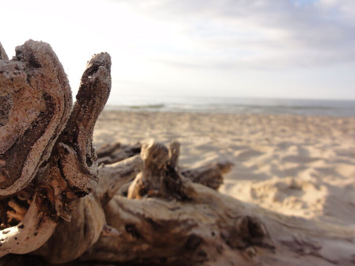 Hey Pandas, Share The Prettiest Photo In Your Camera Roll (Closed) Hey Pandas, Share The Prettiest Photo In Your Camera Roll (Closed)