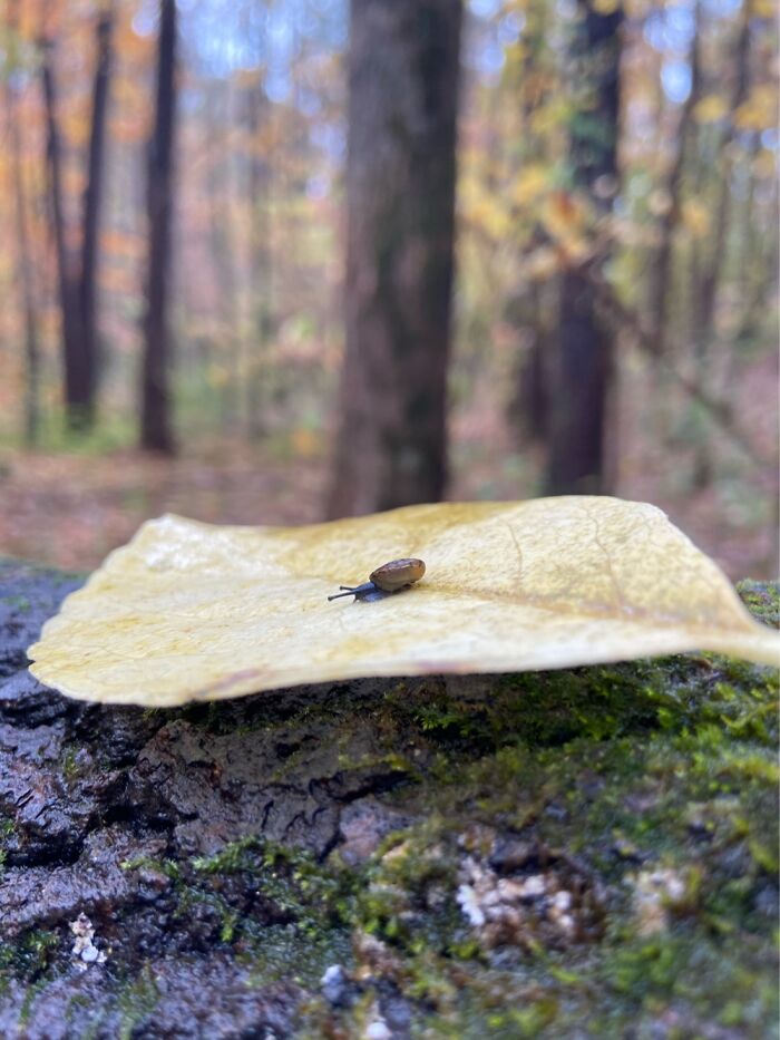 Hey Pandas, Share The Prettiest Photo In Your Camera Roll (Closed) Hey Pandas, Share The Prettiest Photo In Your Camera Roll (Closed)